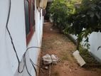කටුනායක - අමන්දොලුව ප්‍රදේශයෙන් නිවසක් සමග බෝඩිං කාමර 4ක් විකිණීමට ඇත.