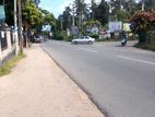 කටුනායක අවටින් වටින ඉඩමක් විකිණීමට ඇත