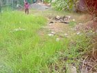 කටුනායක, කිබුලපිටිය අස්වැද්දූම ලිද පාරේ පර්චස් 7ක් බිම් කොටසක්