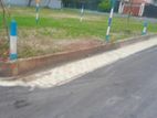 කටුනායක කුරණ මීගමුව පාරට මීටර් 50යි