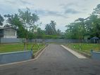 කටුනායක මීගමුව පාරට මීටර් 50යි.