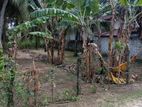 කටුනායක - මුතුවාඩියෙන් පර්චස් 15ක්.