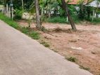 කටුනායක - නිට්ටඹුව මාර්ගයට සමීපව වල්පිටමුල්ලෙන් සුපිරි ඉඩමක්