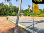 කටුනායක වල්පොල බස් පරෙන් ඉඩමක්