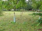 Kuchchaveli Beach Facing Land for Sale