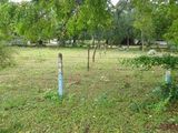 Kuchchaveli Beach Facing Land for Sale