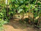 Kudamaduwa, Mattegoda Land for Sale (SSPL-235)