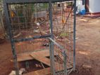 Dog Cage