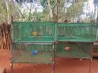 Bird Cages