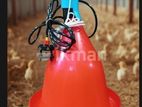 කුකුල් ගොවිපොලට අවශ්‍ය උපකරණ / Poultry Farm Equipment's