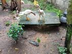 Country Hens