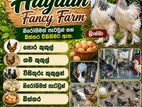 කුකුලන්