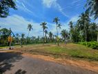 කුලියාපිටියෙන් අගනා ඉඩමක්