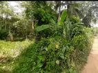 Kuliyapitiya 33 Perches Land for Sale (sspl-485)
