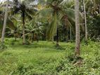 Kuliyapitiya 6 Acres Coconut Land for Sale