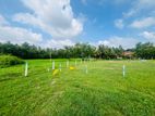 Kuliyapitiya Developed Land for Sale P6