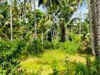 Kuliyapitiya Kitalawa Coconut Land for Sale ( RLS- 787)