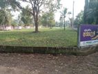 Kuliyapitiya Land for Sale