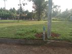 Kuliyapitiya Land for Sale