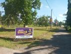 Kuliyapitiya Land for Sale