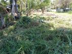 Kuliyapitiya Land for Sale