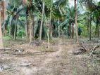 Kuliyaptiya Land For Sale | 11 Acres