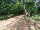 Land for Rent in Madawacchiya