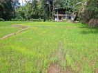 කුඹුරු ඉඩමක් විකිනීමට මොනරාගල