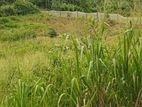 ගම්පොළ කුඹුරු ඉඩමක් විකිණීමට
