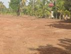 කුඹුරුකට මායිම්ව පිහිටි ඉඩමක් අනුරාධපුර