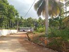 කුරැණෑගල නගර සීමාවෙන් ඉඩමක් - land in Kurunegala Mallawapitiya