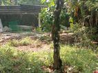 කුරුදුගහ ඇල්පිටිය අවට ඉඩමක්