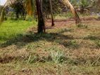 Kurunagala : 16.5 perches Land for Sale at Narammala