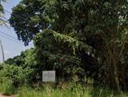 Kurunagala Land for Sale