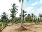 Kurunagala Land Plot for Sale