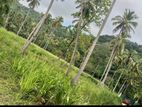 Kurunagala Maddegama Land for Sale ( RS - 412)