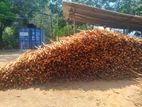 කුරුඳු දර Cinnamon Firewood