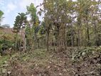 Kurunegala : 106P Commercial Land for Sale at Dambokka