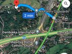 Kurunegala : 106P Commercial Land for Sale at Dambokka