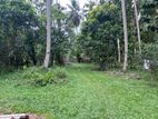 Kurunegala 2 Acres Coconut Land for Sale