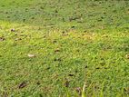 Kurunegala : 3 Acres Land for Sale in Mawathagama