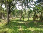 Kurunegala : 310P Commercial Land for Sale at Wariyapola