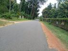 Kurunegala : 40P land for Sale in Maspotha, kurunagala