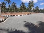 Kurunegala 5 Road Dambadeniya Commercial Land Plots For Sale