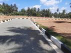 Kurunegala 5 Road Facing Commercial Land Plots For Sale Dambadeniya