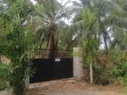Kurunegala 6 Acres available For Rent