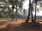 Kurunegala Alauwa ඉඩම්