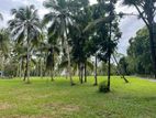 Kurunegala City Land for Sale