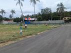 Kurunegala City Lands for Sale