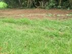 Kurunegala City Range Land for Sale